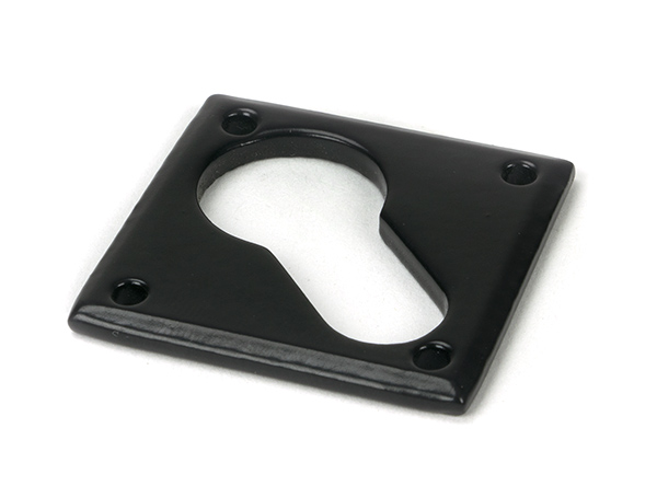 Black Diamond Euro Escutcheon