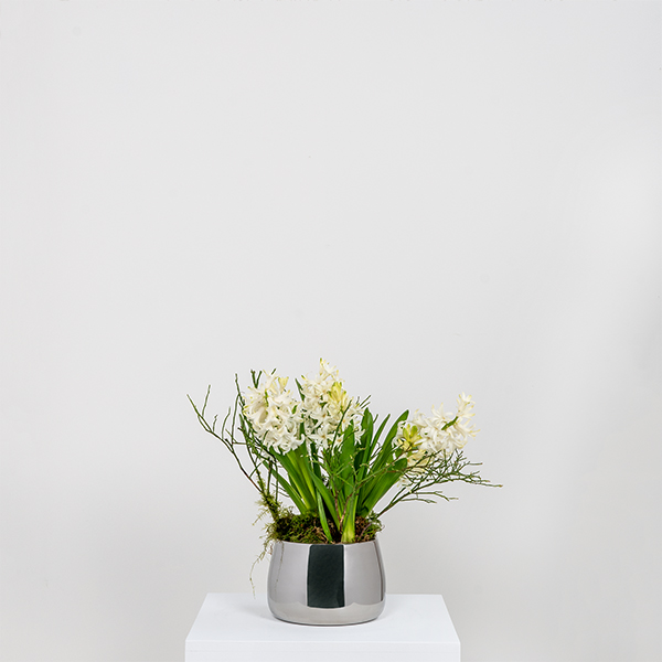 Polished Marine SS (316) 12.5cm Hepworth Pot