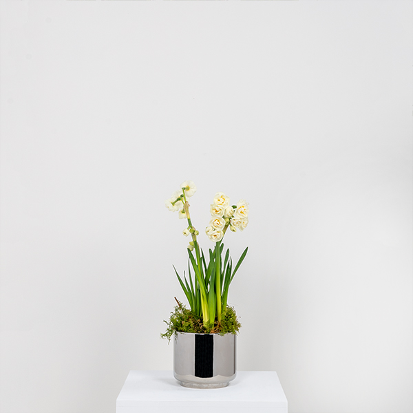 Polished Marine SS (316) 12.5cm Newlyn Pot