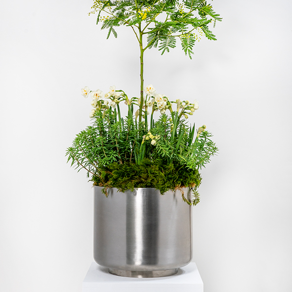 Satin Marine SS (316) 28cm Newlyn Pot (Drainage holes)