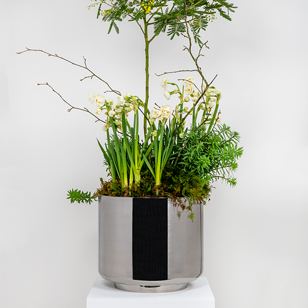 Polished Marine SS (316) 28cm Newlyn Pot (Drainage holes)