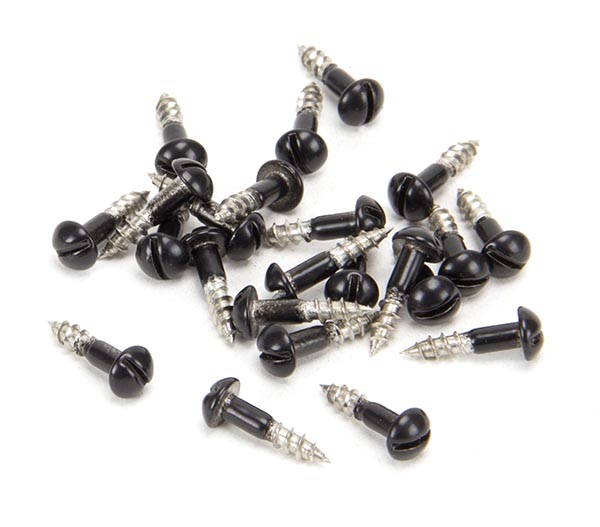Black SS 3.0 x 12  Roundhead Screws (25)