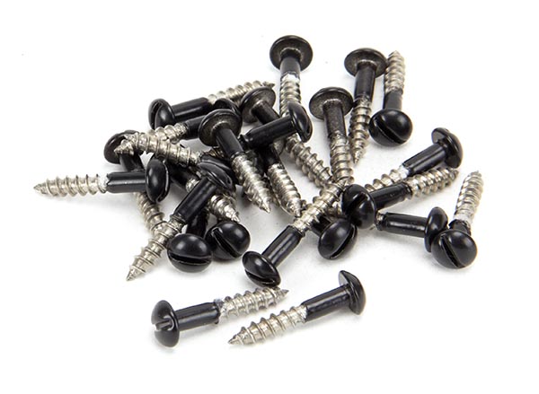 Black SS 3.5 x 20  Roundhead Screws (25)