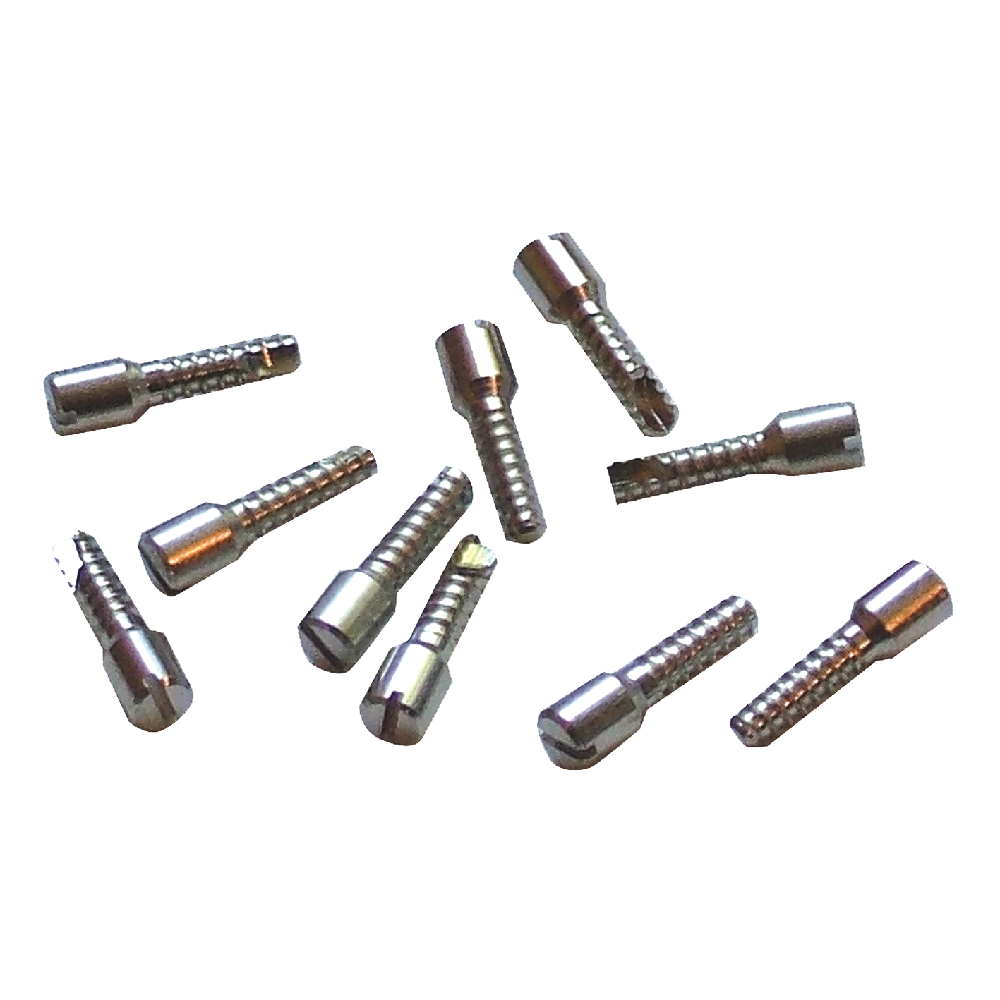 DORMAKABA 44214 Cylinder Retaining Screw To Suit 3000 Series - 3000