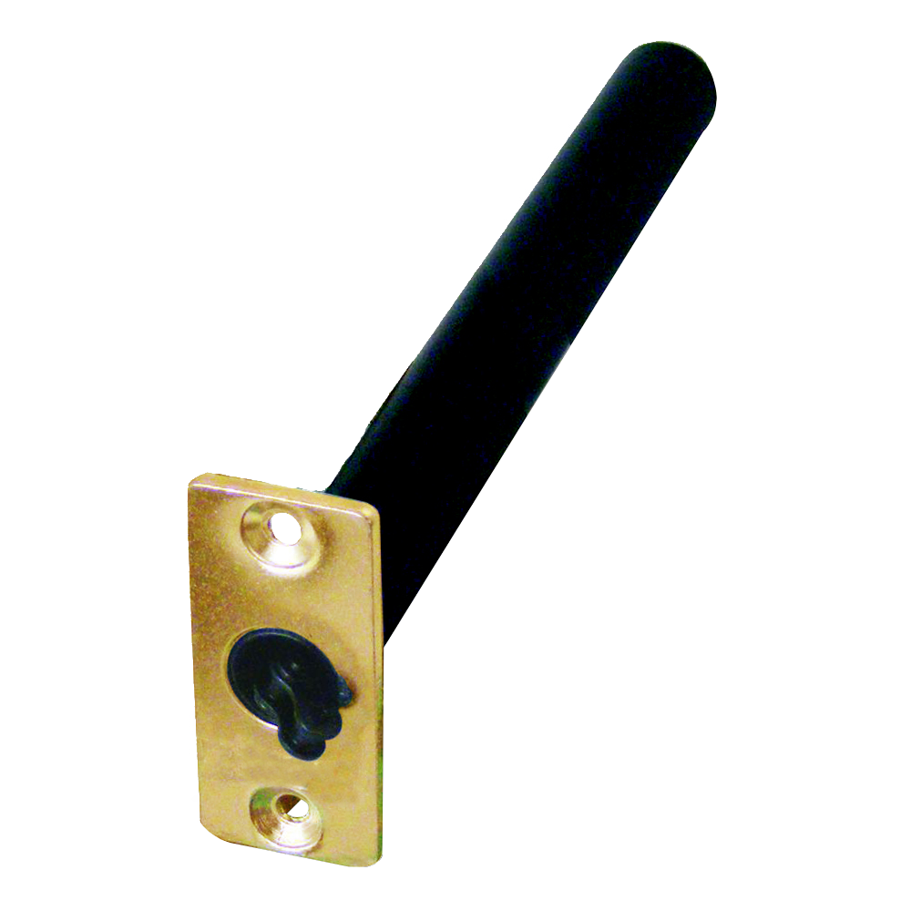 ASTRA DOOR C31E Concealed Door Closer - GOLD